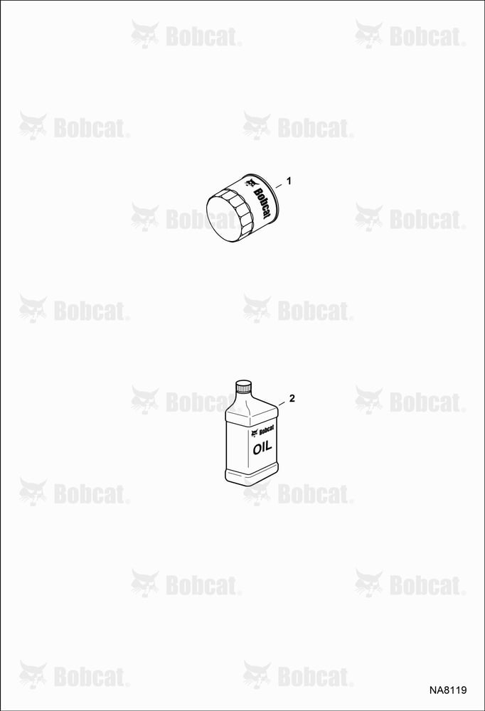 Scheduled Maintenance Items (Every 100 Hours)