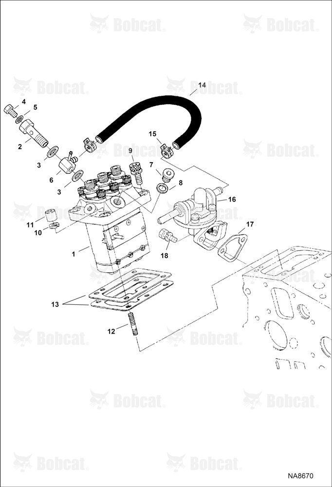 Fuel & Injection Pump