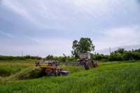 Kubota D M C8536 R mower