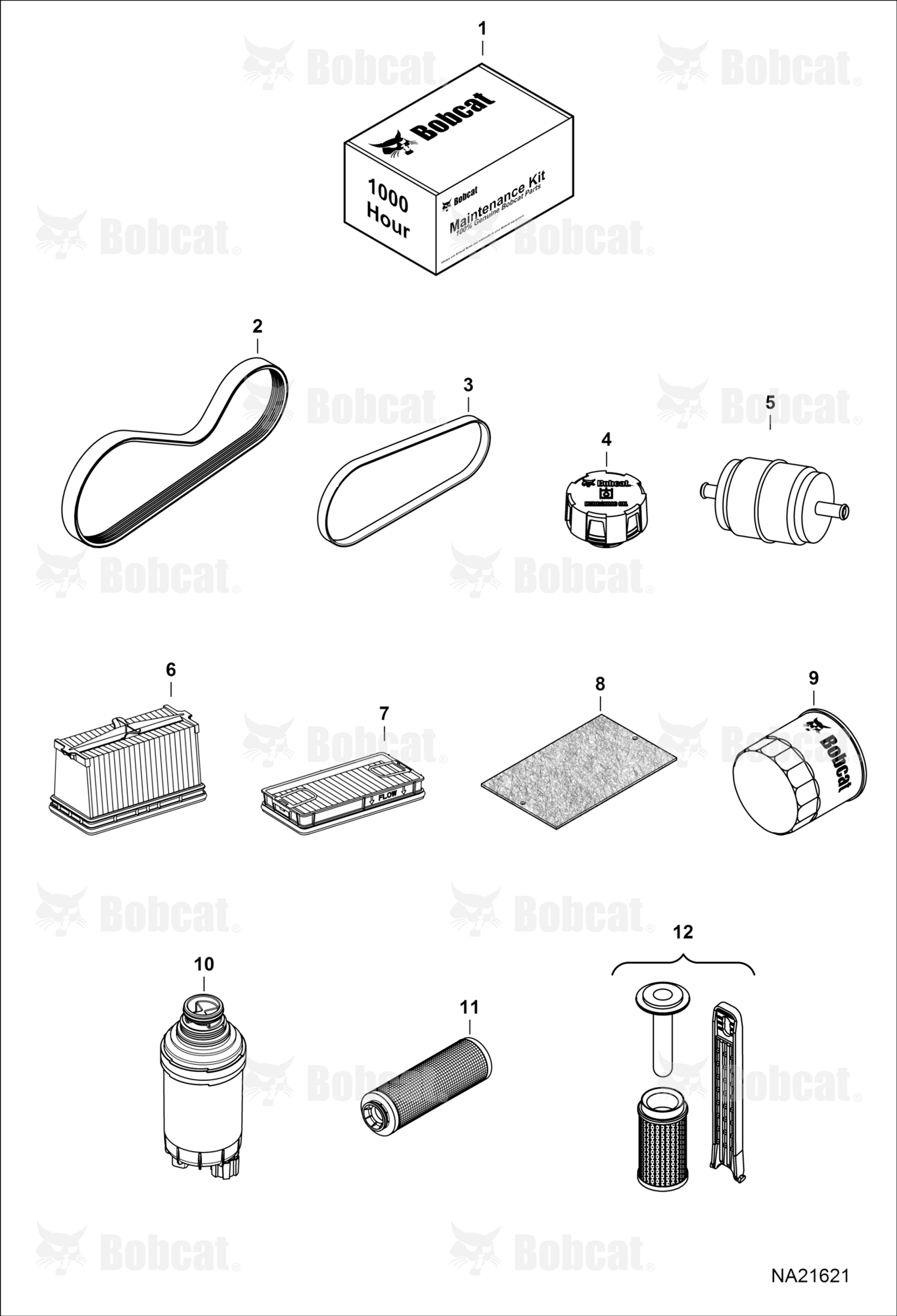Maintenance Items (Scheduled Maintenance)