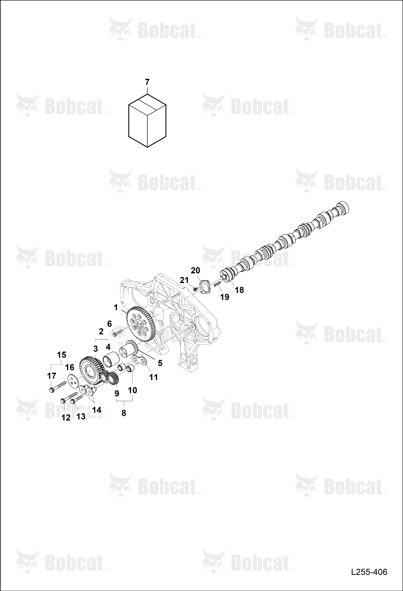Camshaft Drive