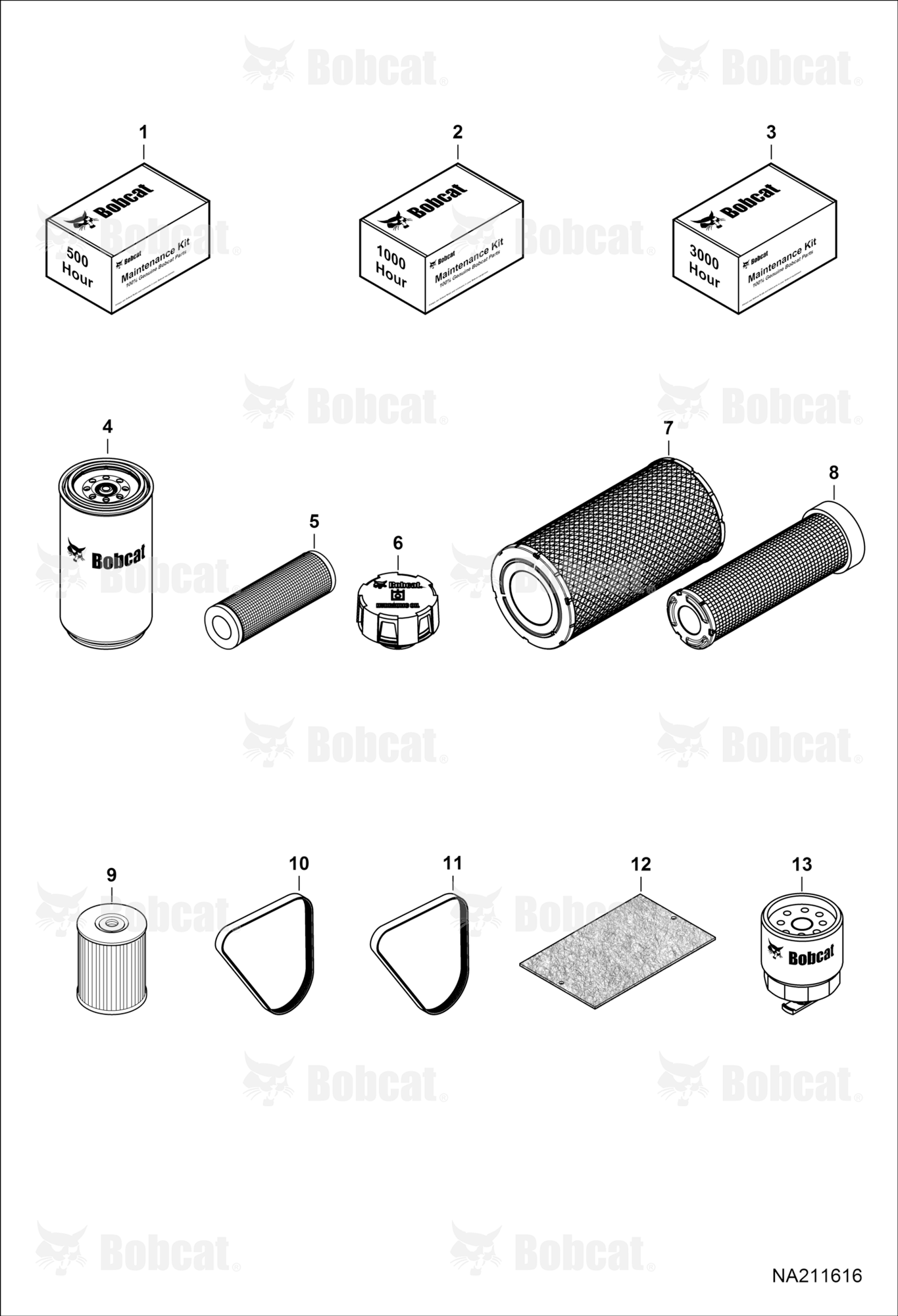 Maintenance Items (Scheduled Maintenance)