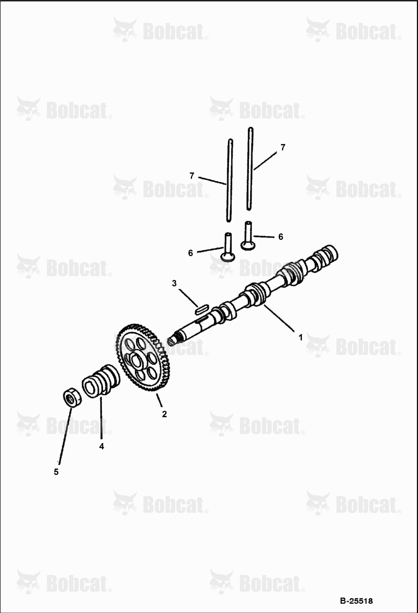Camshaft and Tappet