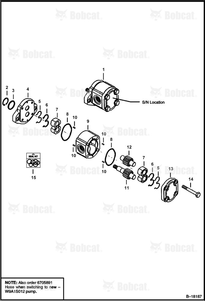 Gear Pump (W9A1S012)