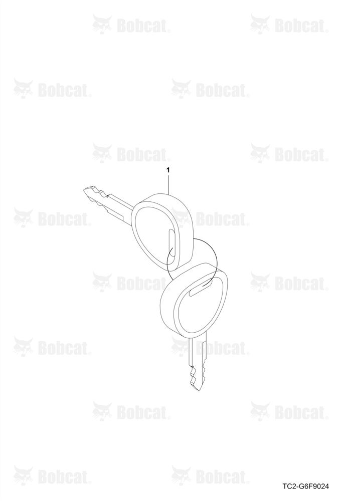 Ignition Key