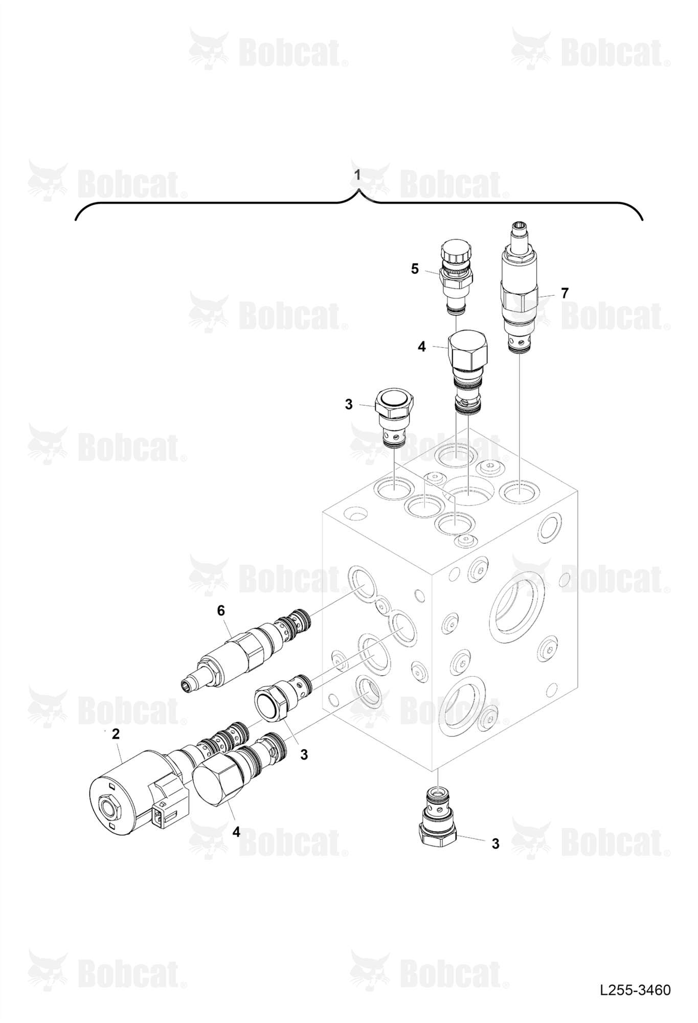Shockless Valve (LIS)