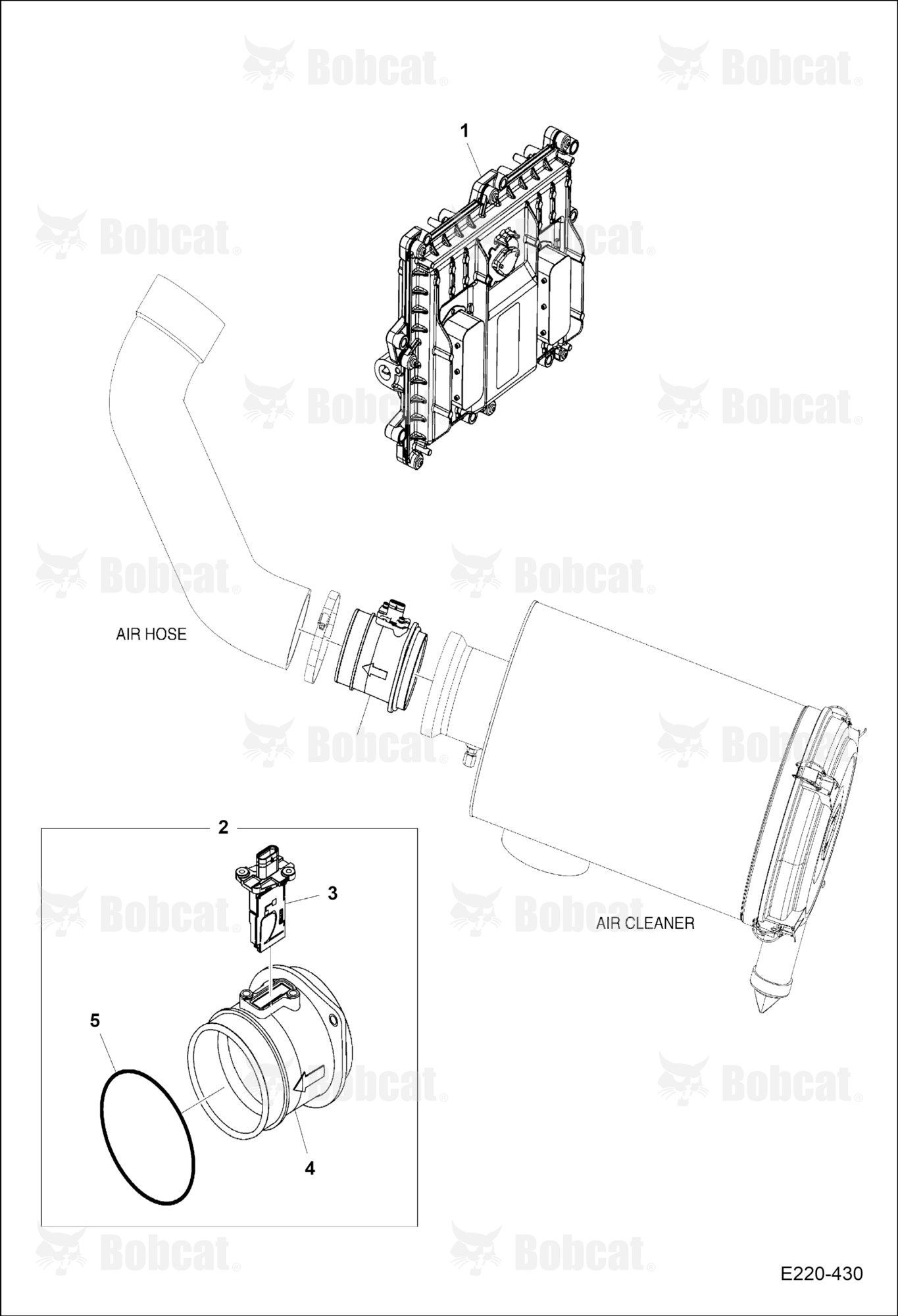 Sensor & ECU