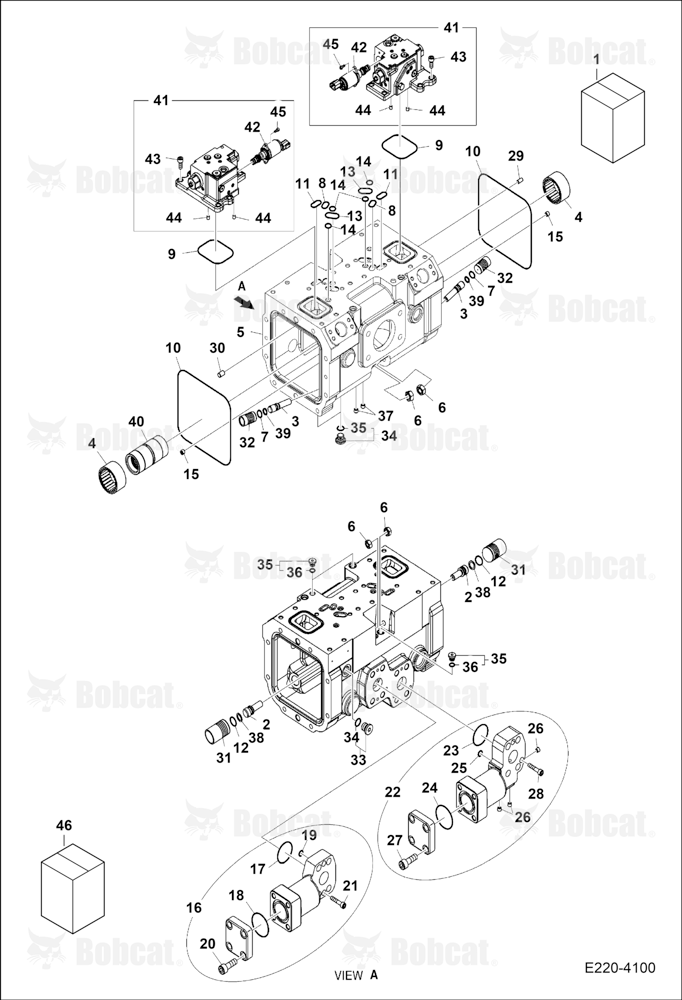 Main Pump (One)