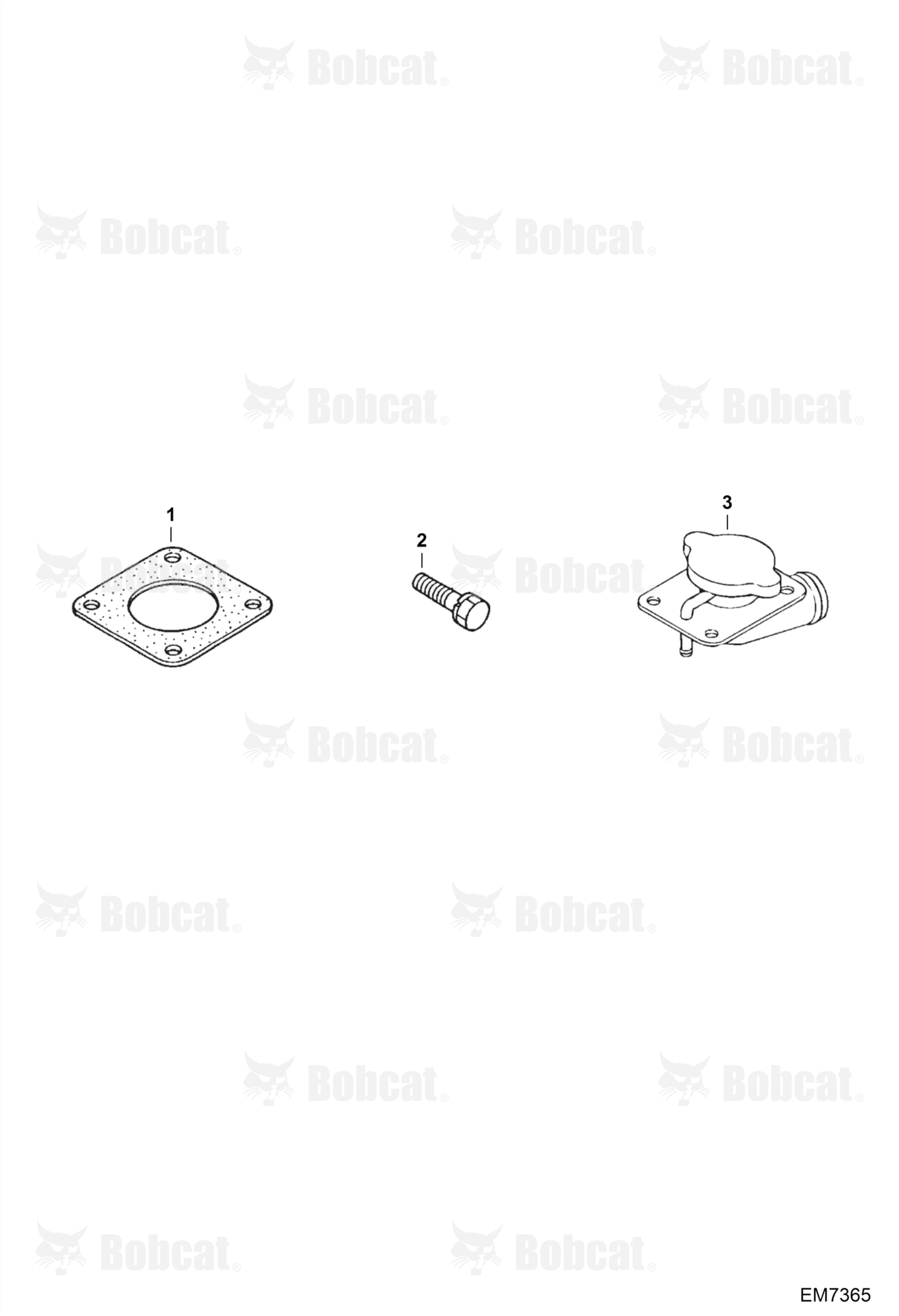 Coolant Filler Cap