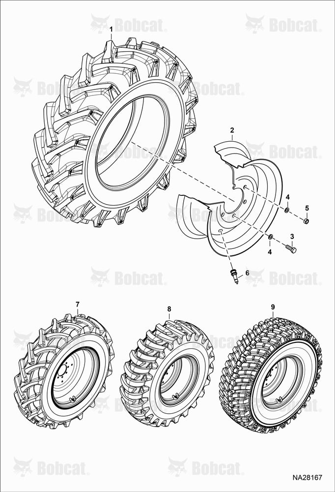 Tires & Rims (Rear)