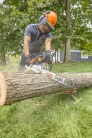 Thumbnail of STIHL MS 212 CBE Chainsaw Action Blade