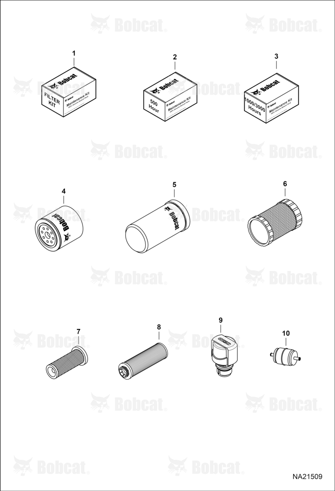 Maintenance Items (Scheduled Maintenance)