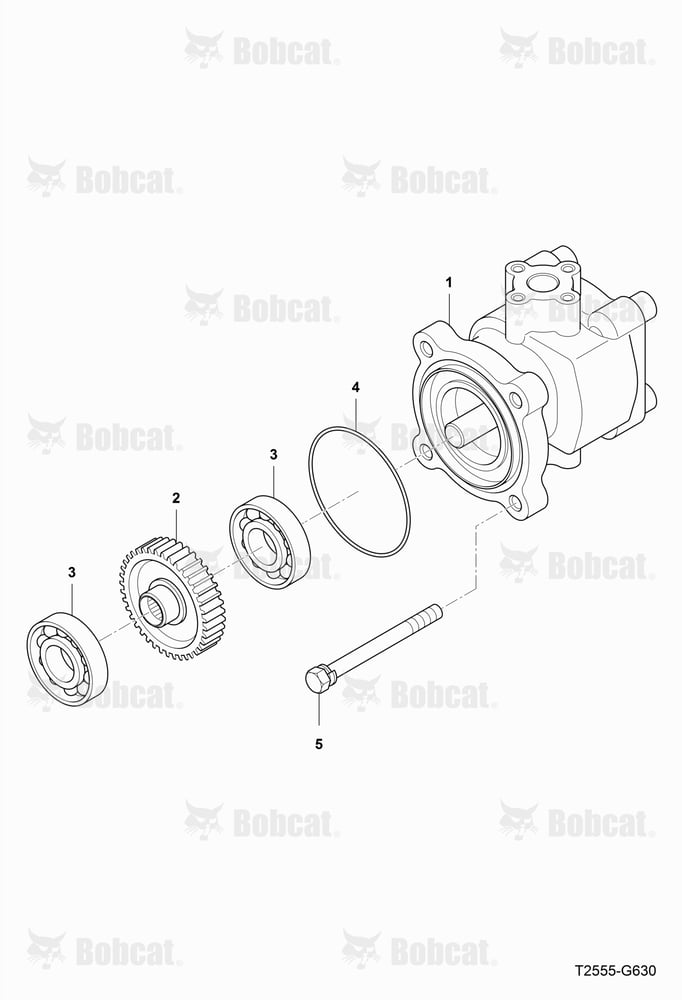 Gear Pump