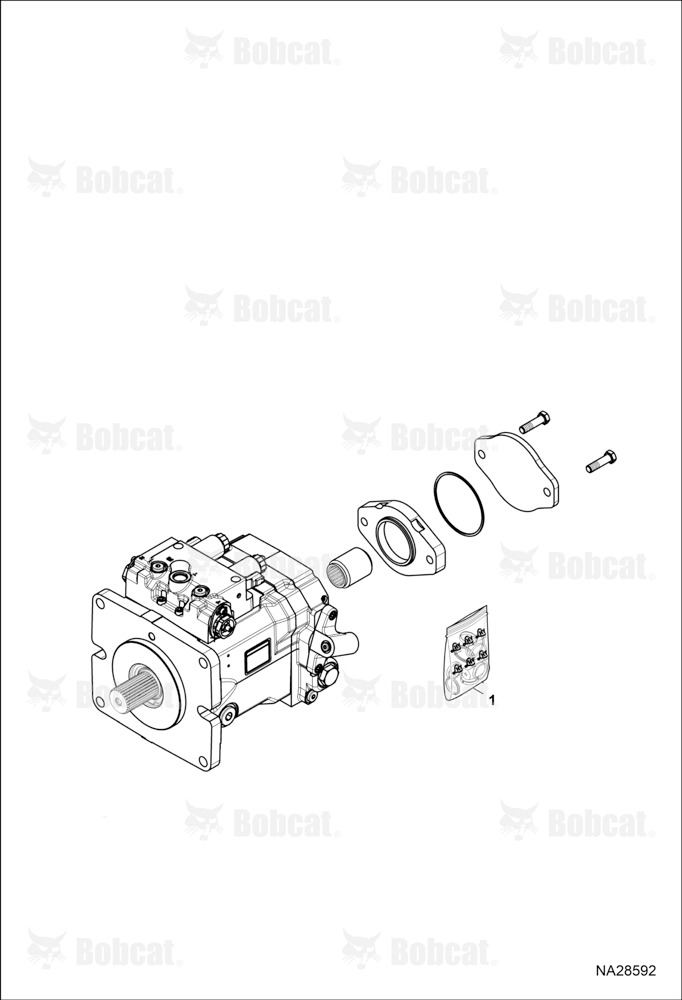Hydrostatic Pump (Service Unit & Miscellaneous)