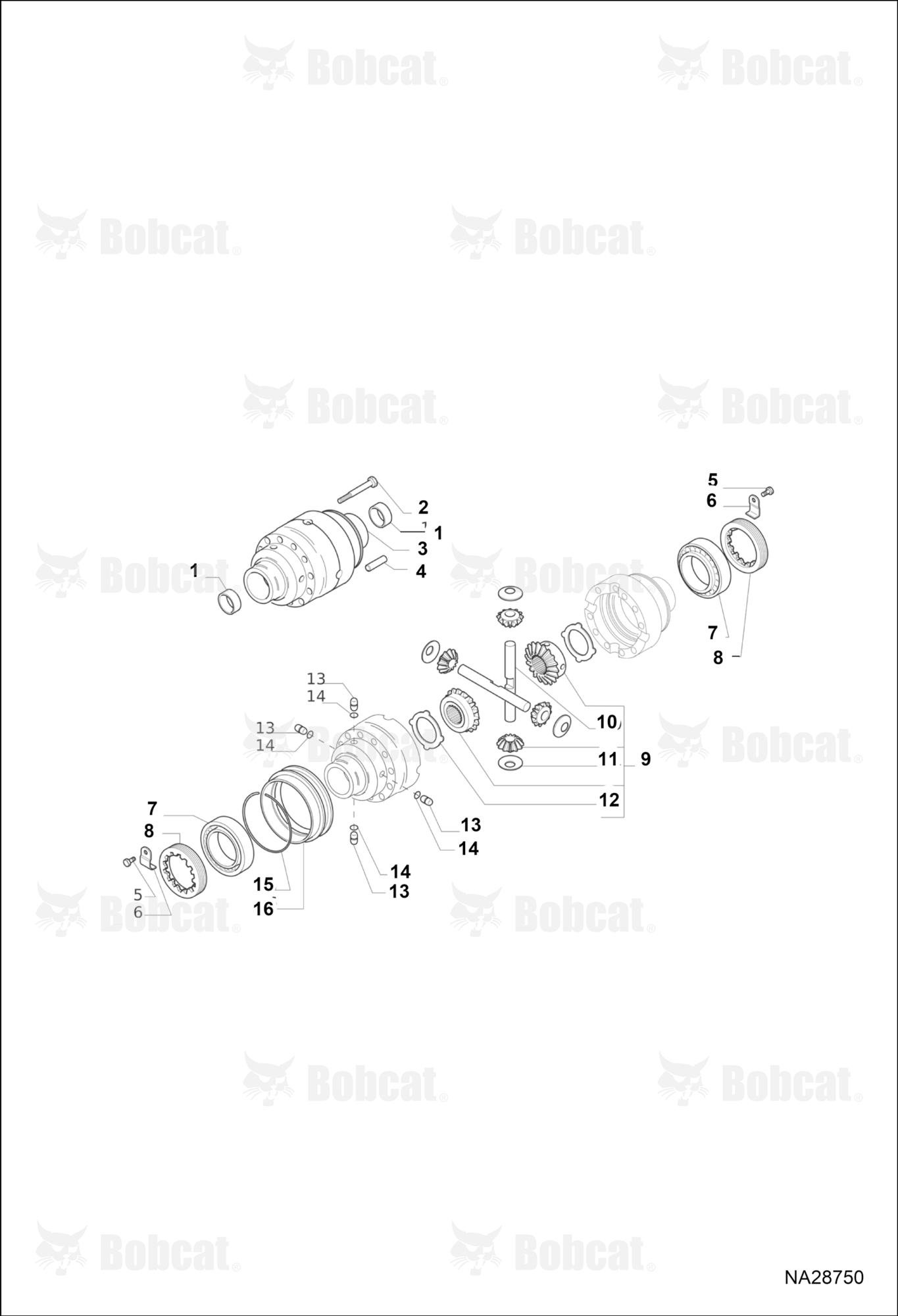 Rear Axle (Differential)