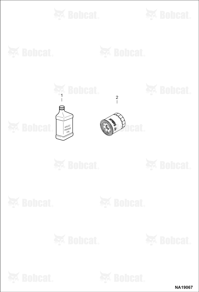 Scheduled Maintenance Items (First 250 Hours)