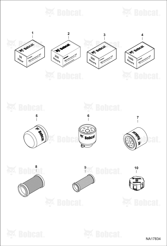 Maintenance Items (Scheduled Maintenance)