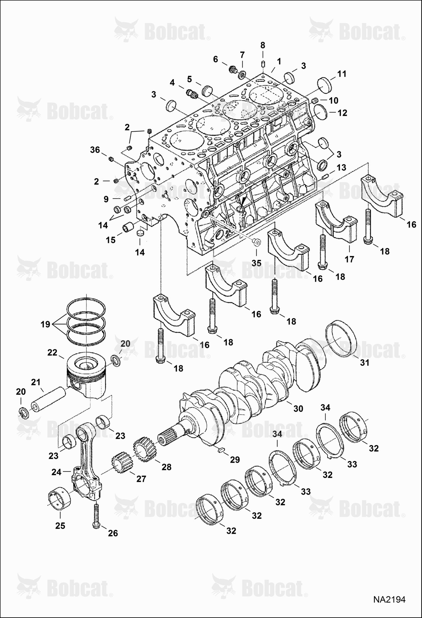Piston & Crankshaft (Kubota)