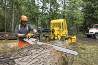 Thumbnail of STIHL MS 881 chainsaw action