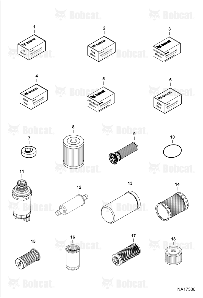 Maintenance Items (Scheduled Maintenance)