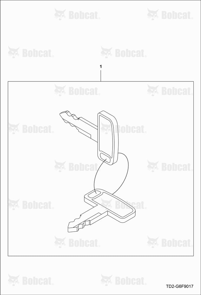 Ignition Key
