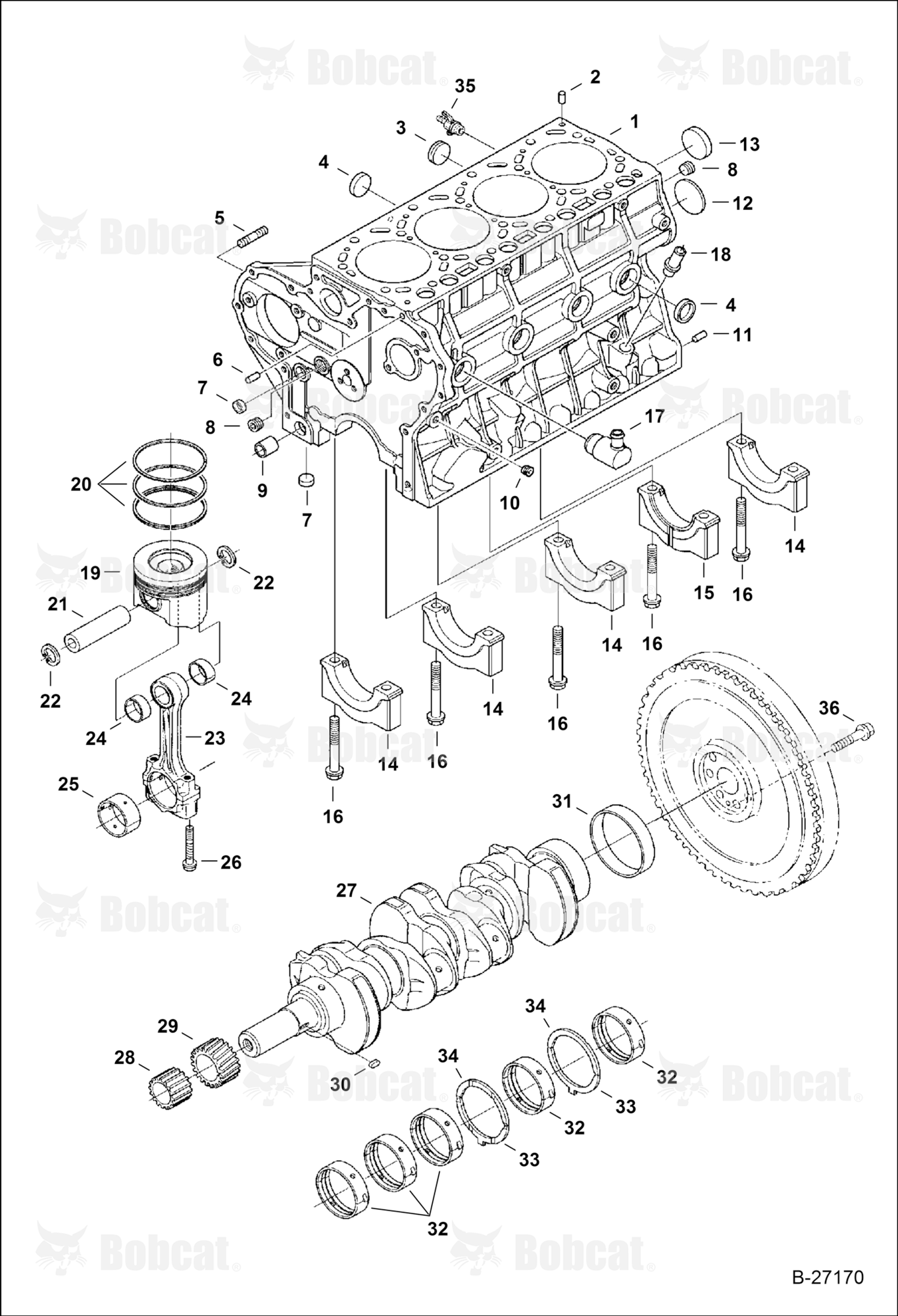 Piston & Crankshaft