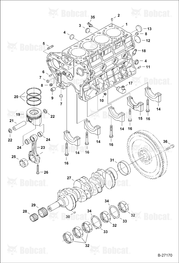 Piston & Crankshaft