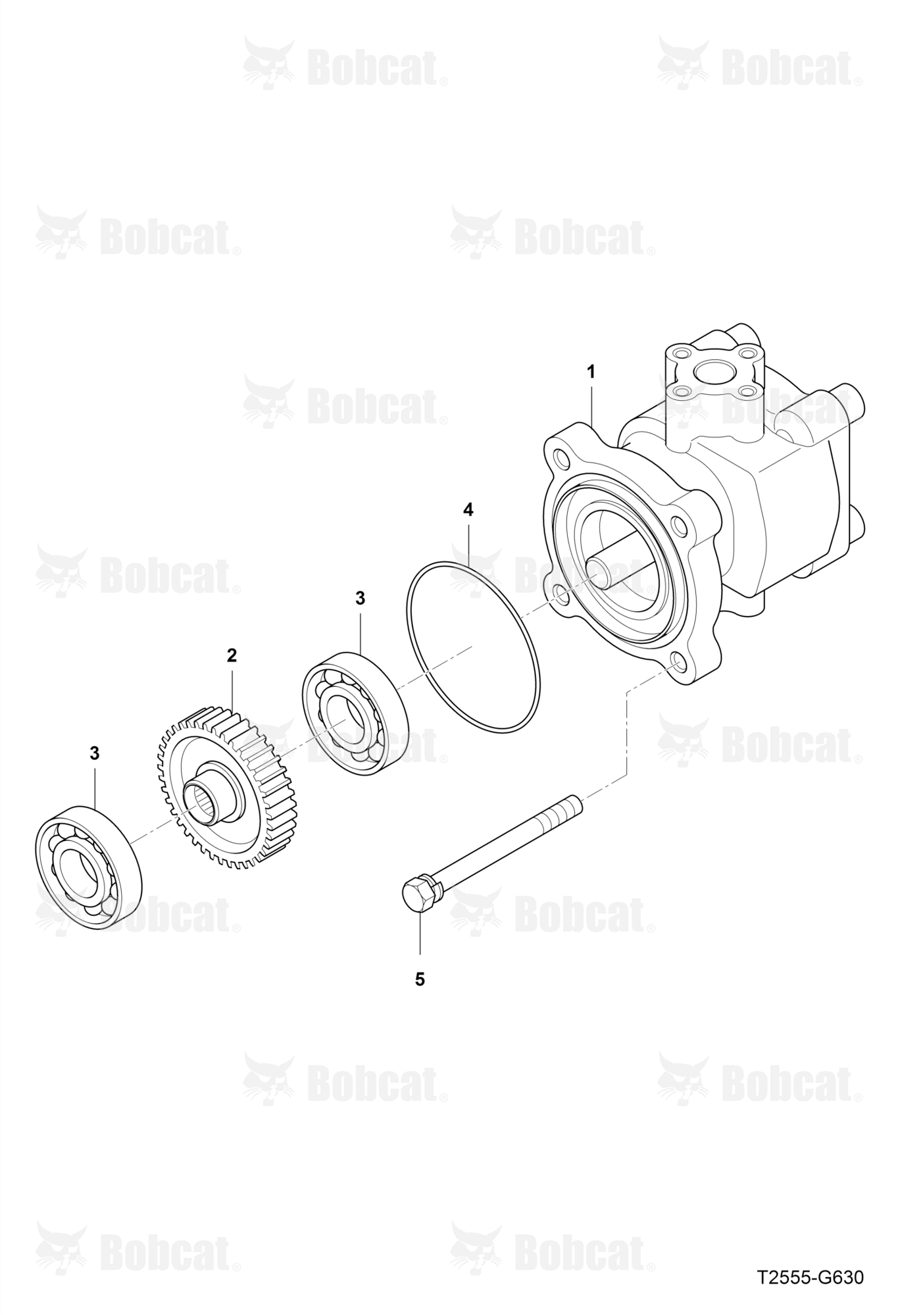 Gear Pump