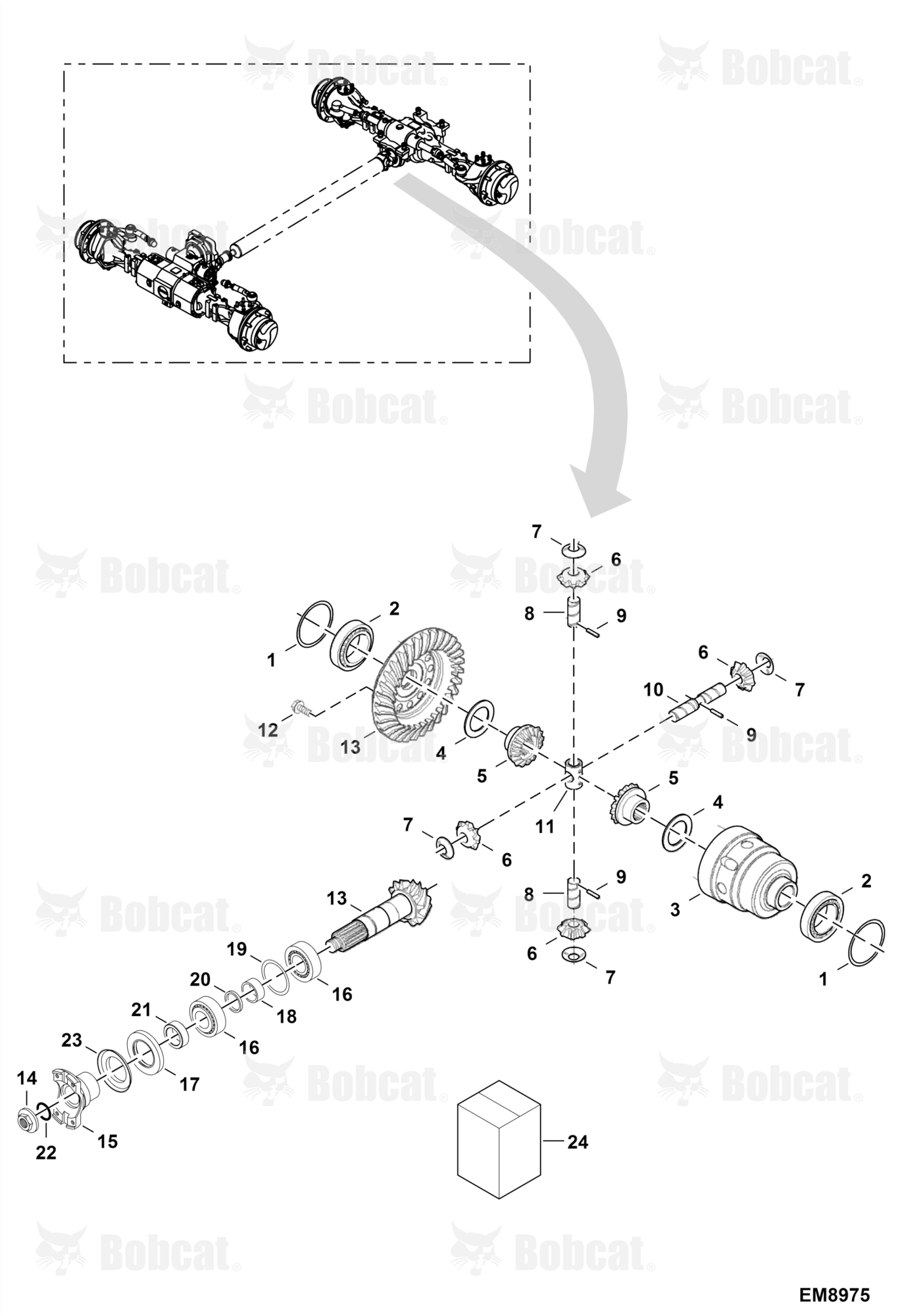 Differential - Rear Axle