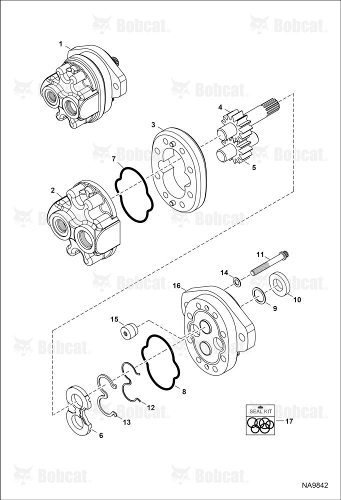 Gear Pump