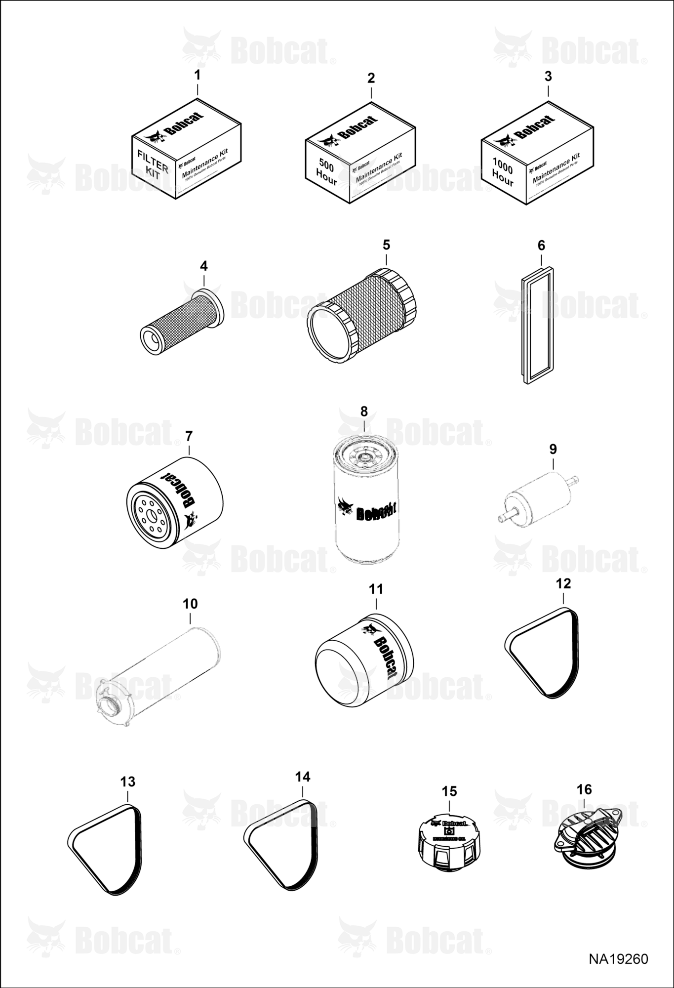 Maintenance Items (Scheduled Maintenance)