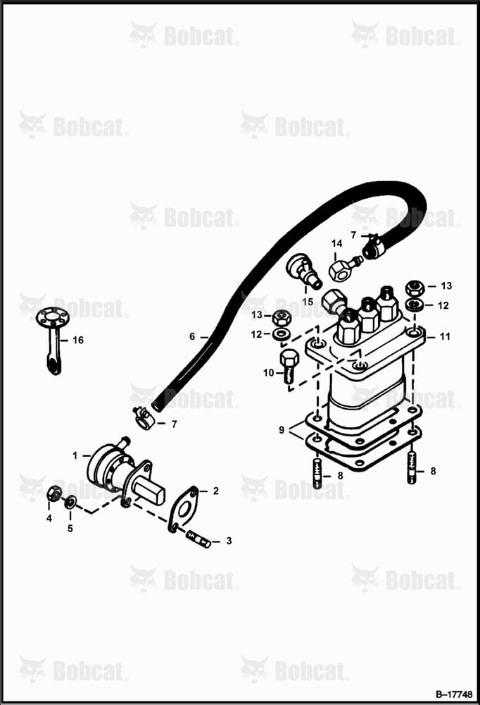 Fuel & Injection Pump