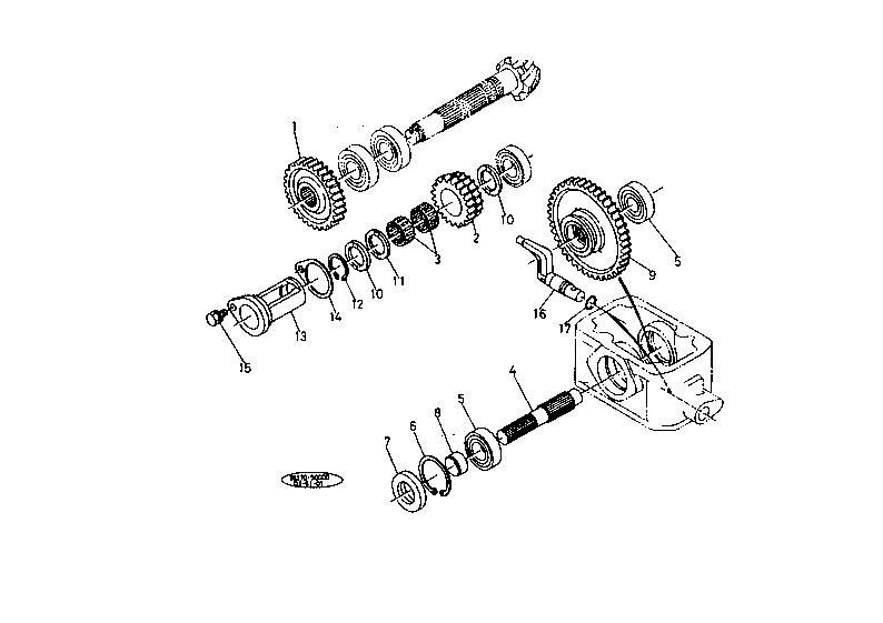 Drive Shaft