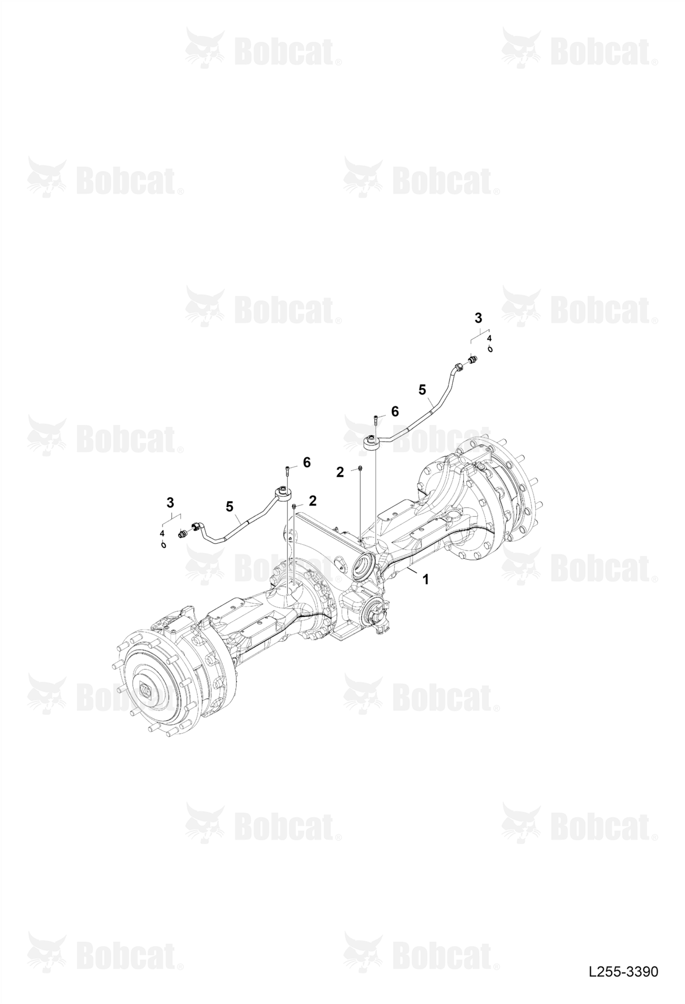 Axle Piping (Rear Axle) (LSD)