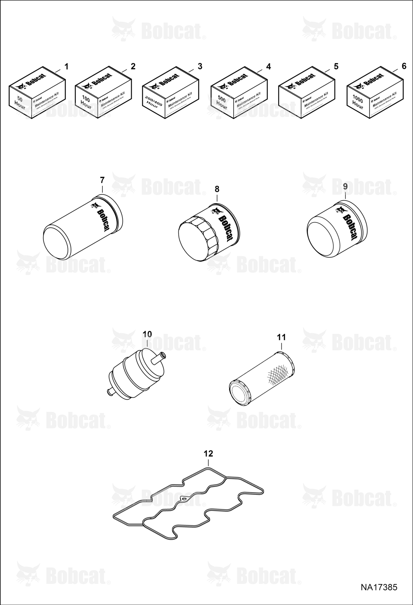Maintenance Items (Scheduled Maintenance)