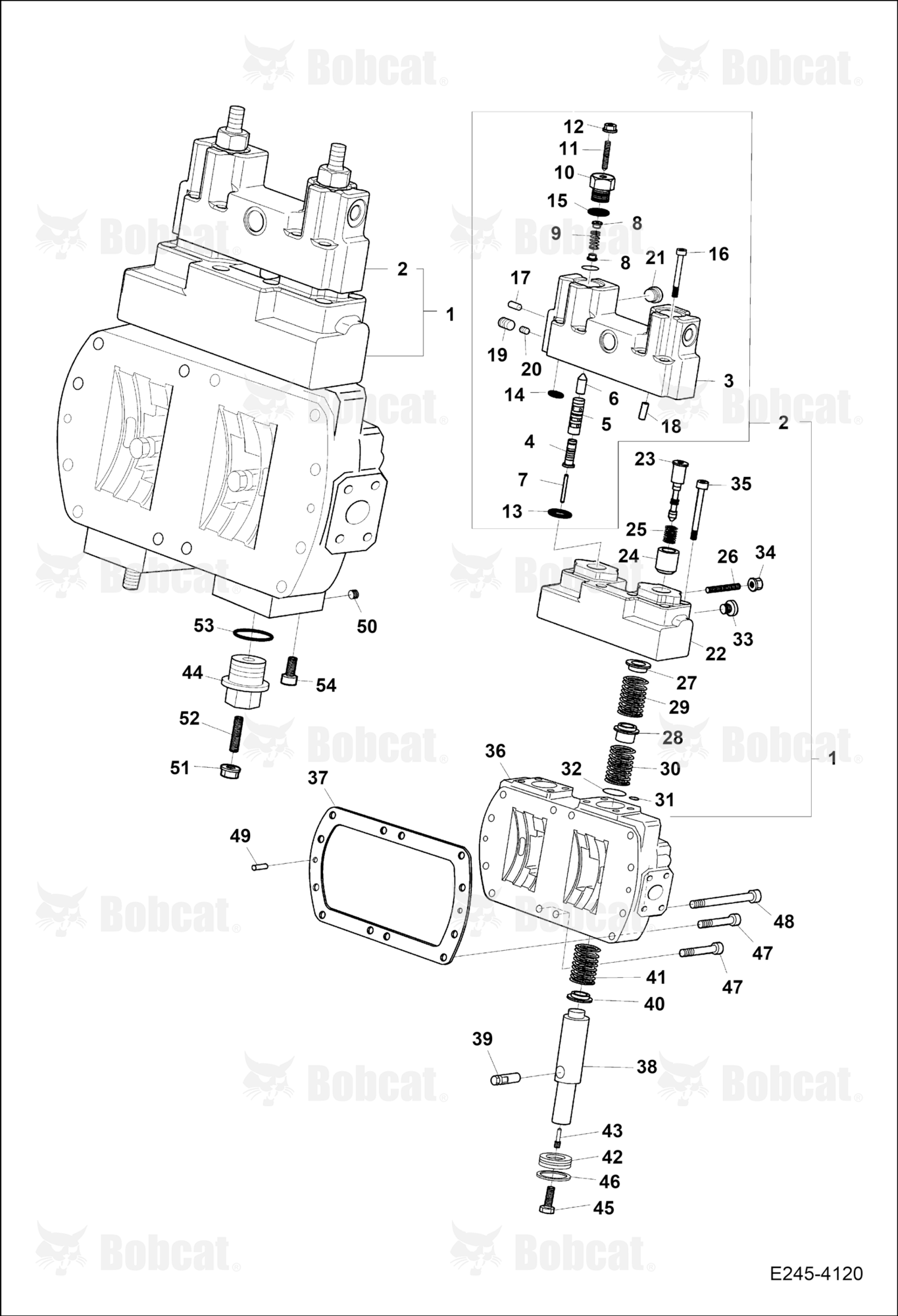 Main Pump (Control)