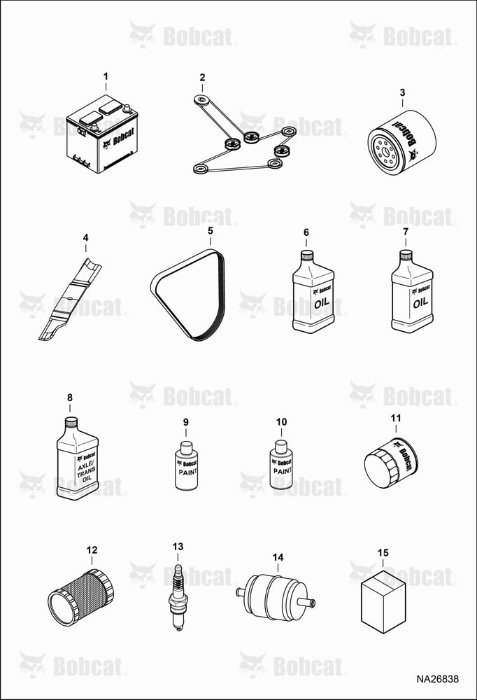 Maintenance Items (Service Items)