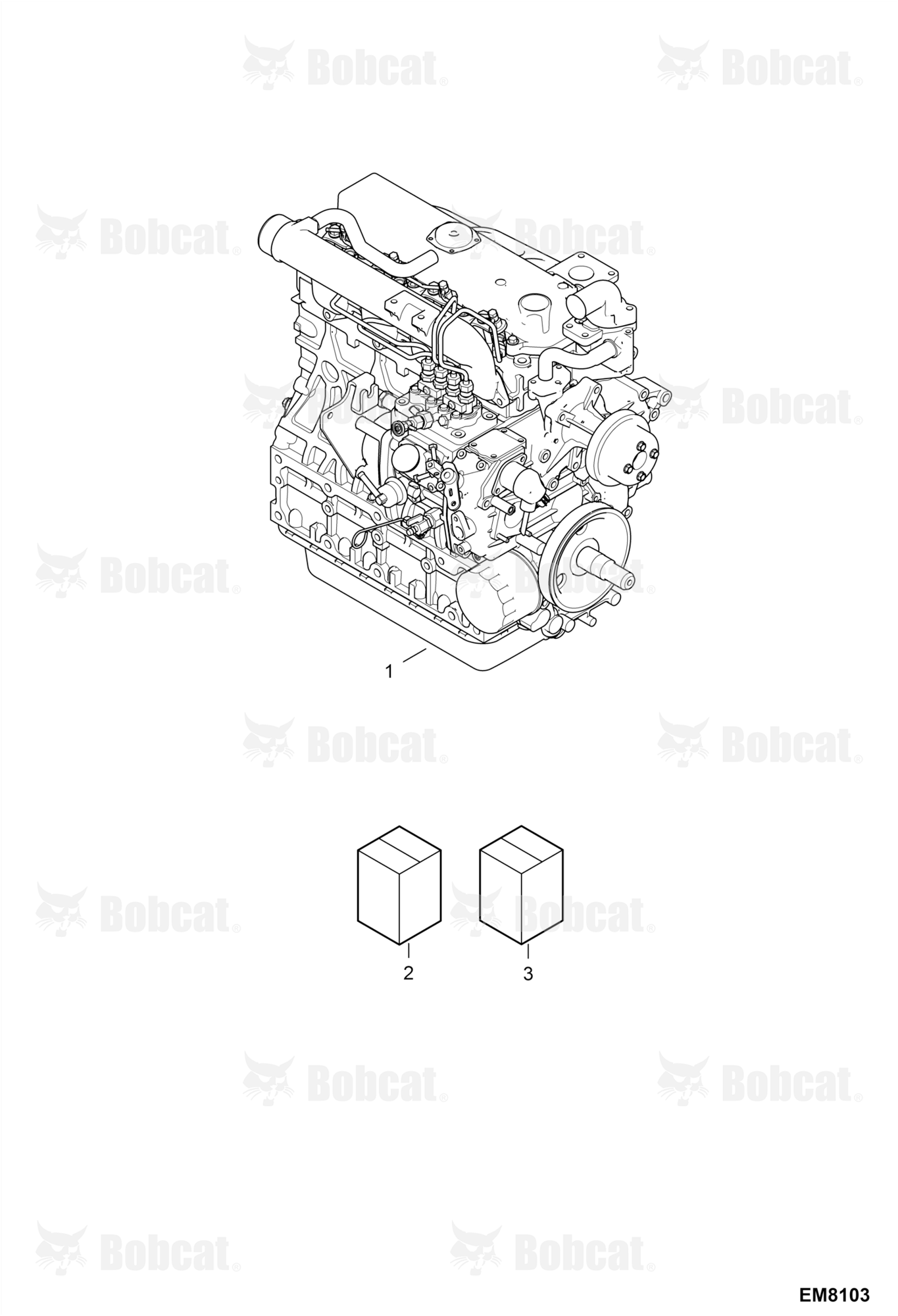 Engine & Gasket Kits