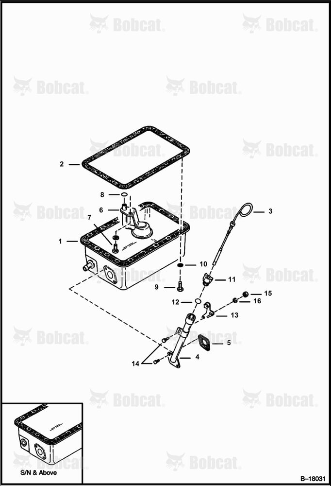 Oil Pan