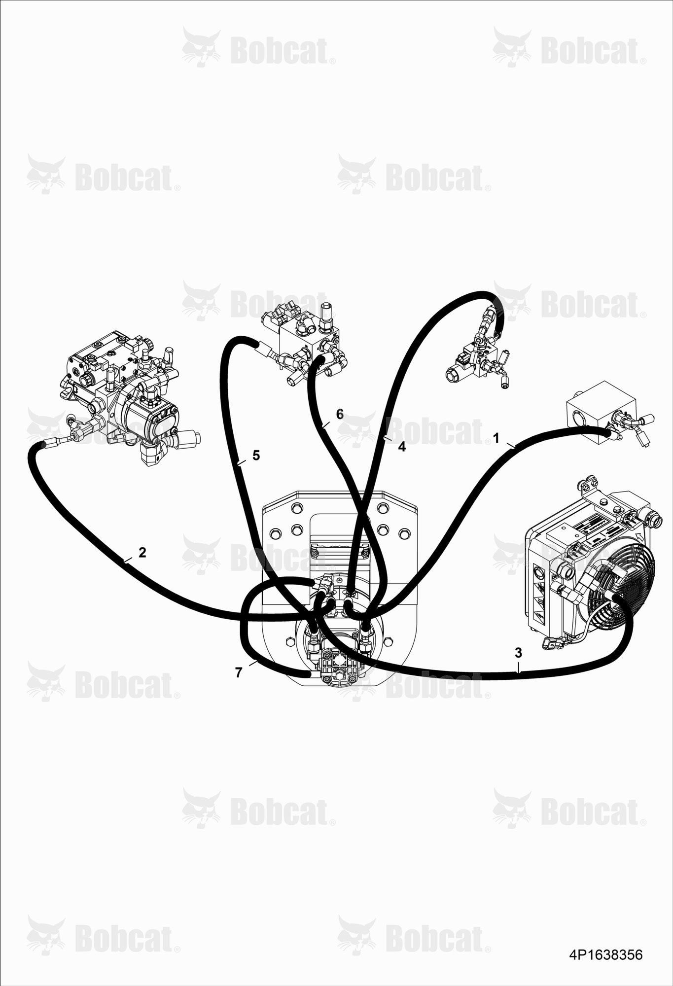Hose Set - Drum Rear