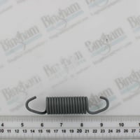 Thumbnail of Pid 84561533 pt spring pos 1