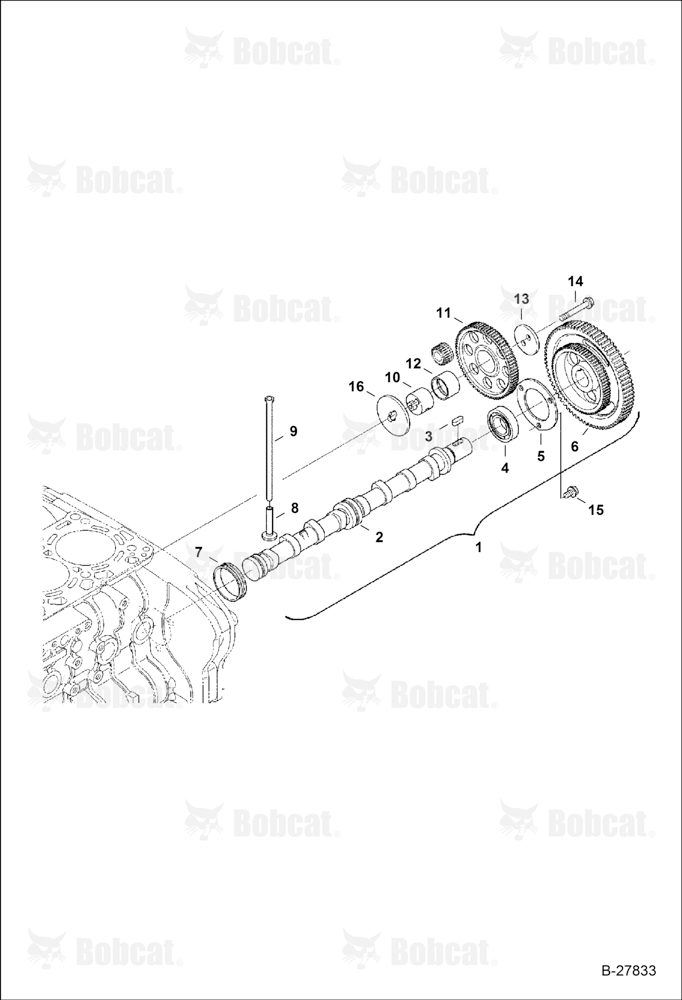 Camshaft and Idle Gear Shaft