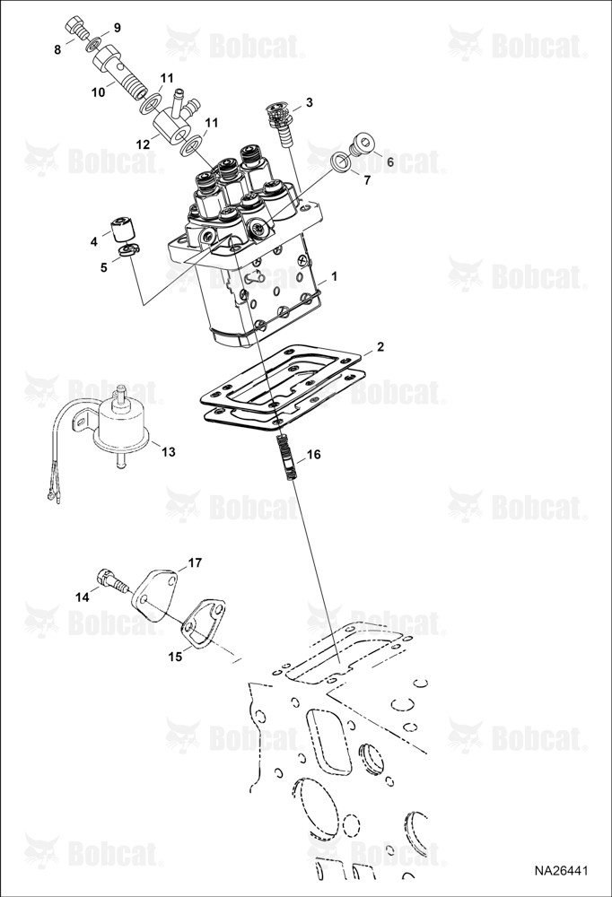 Fuel & Injection Pump