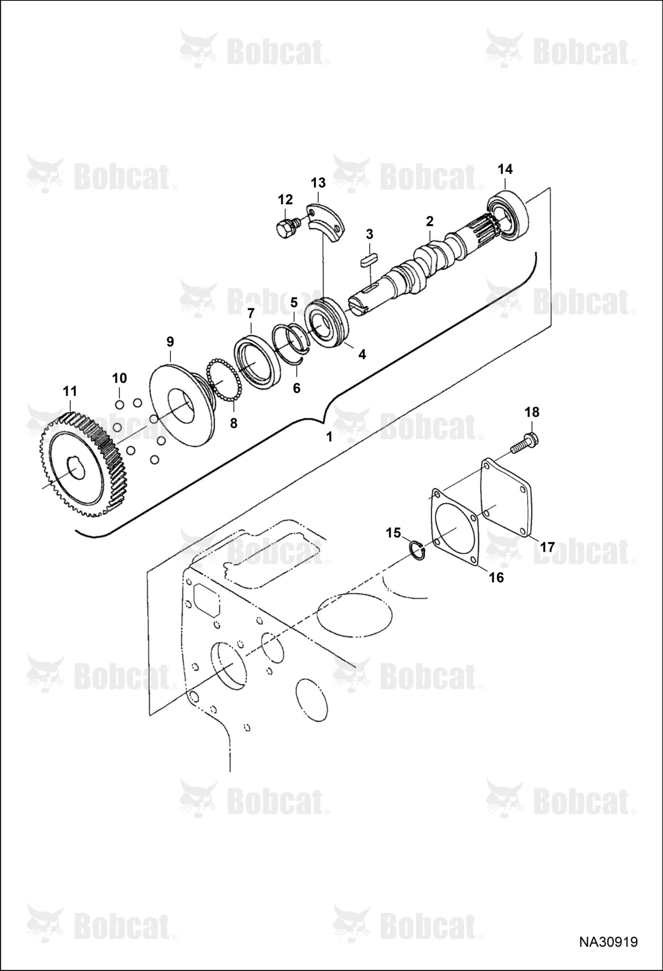 Fuel Camshaft