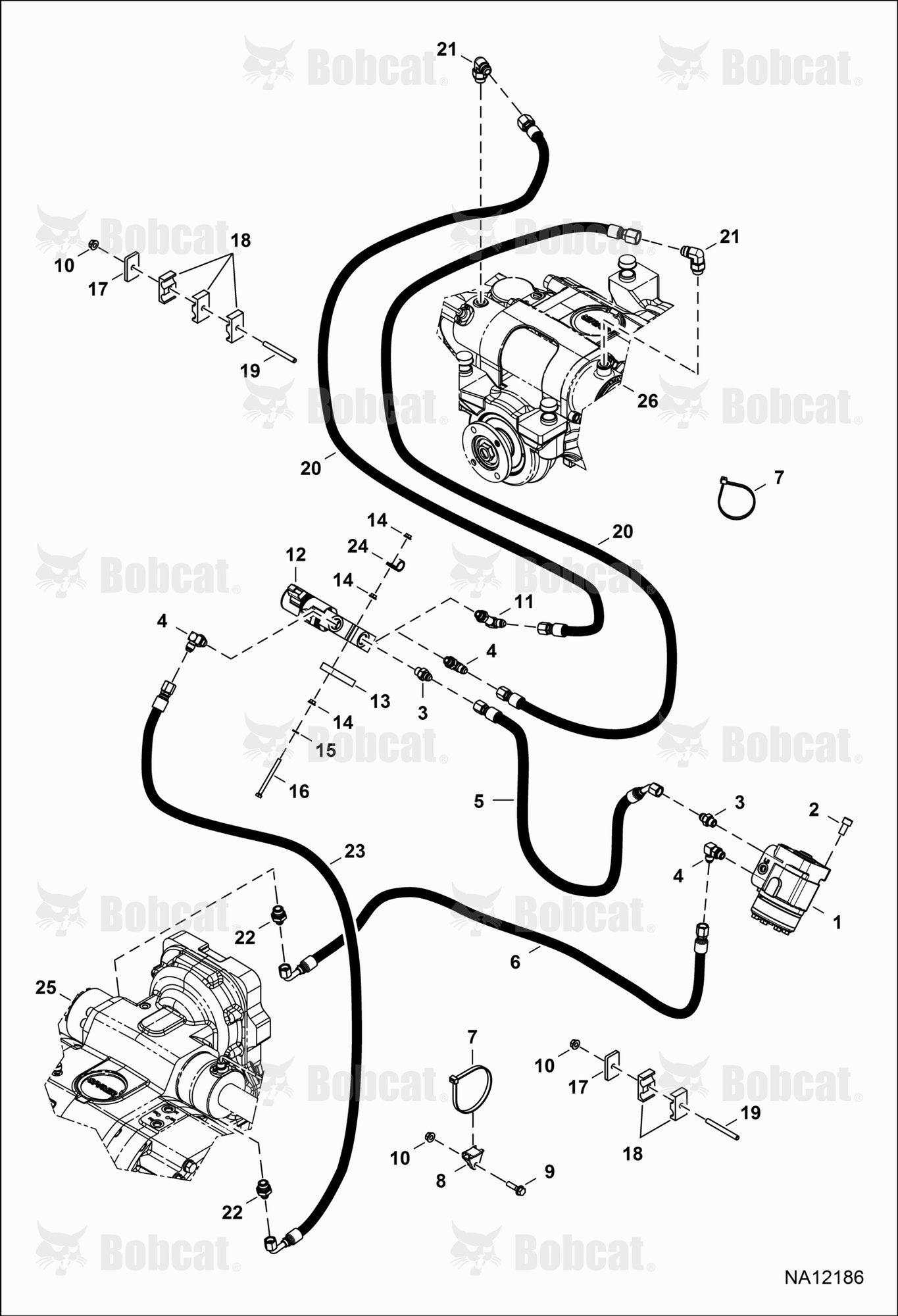 Hydraulic Circuitry (Steering)