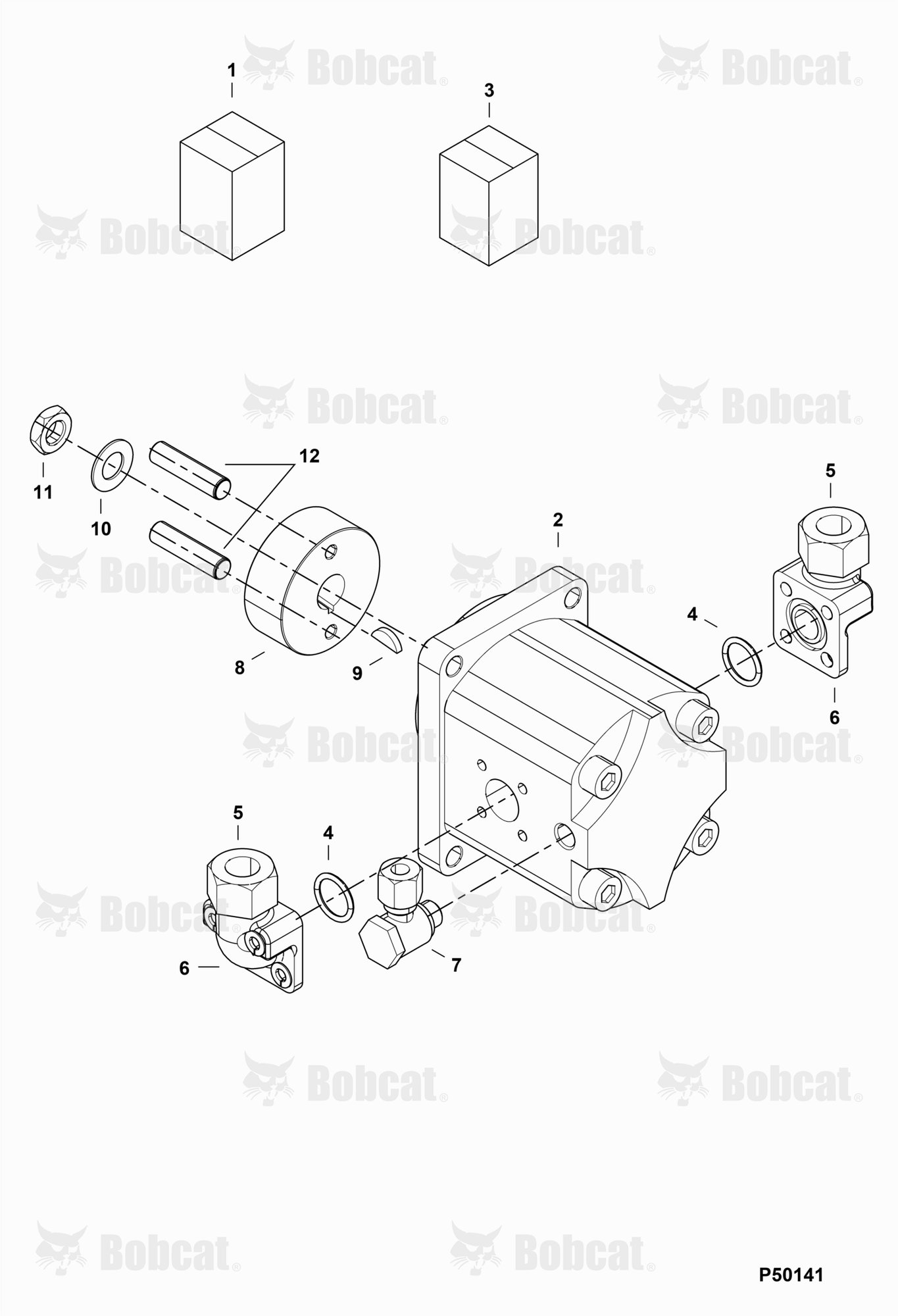 Gear Motor
