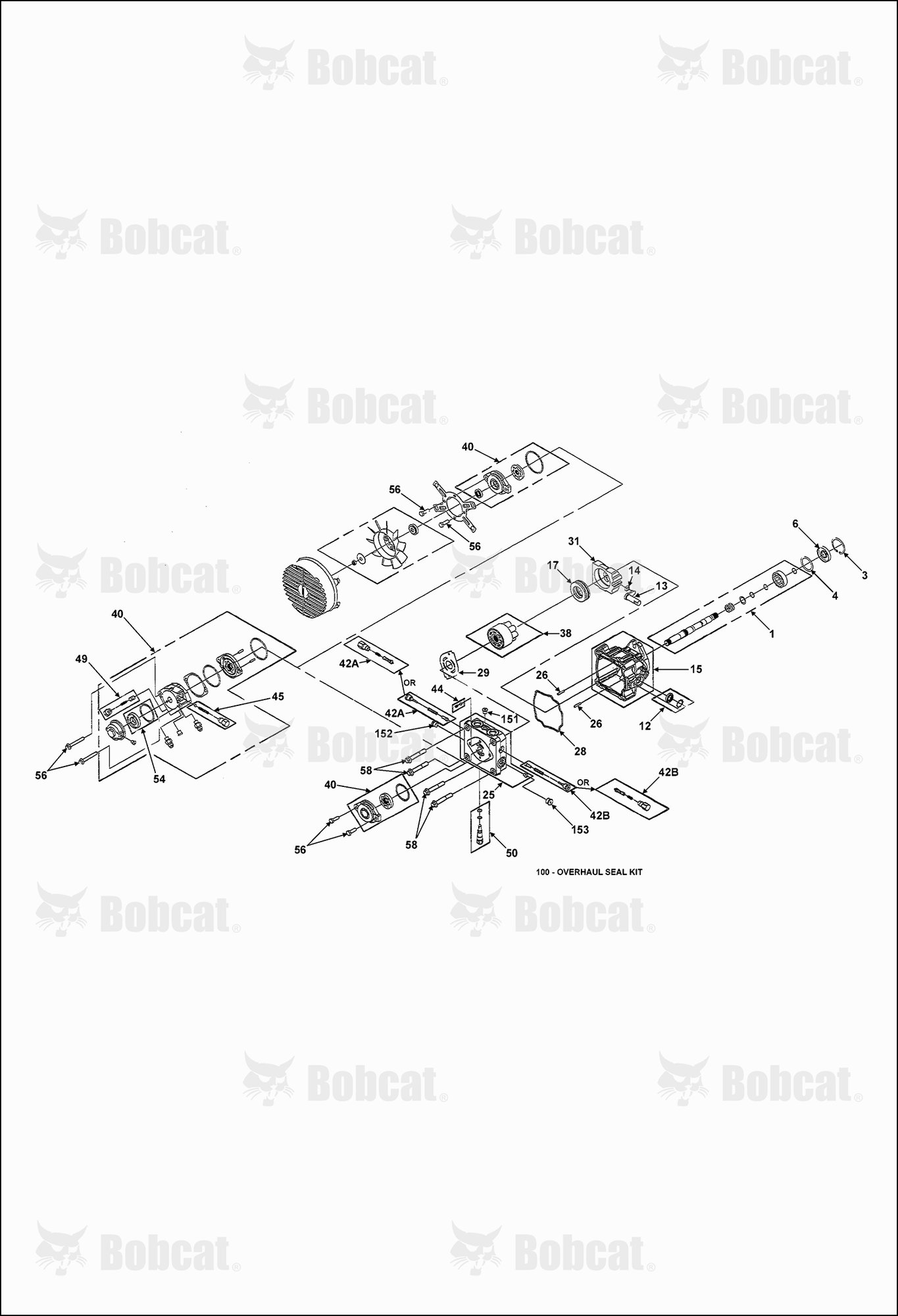 Hydrogear Pump