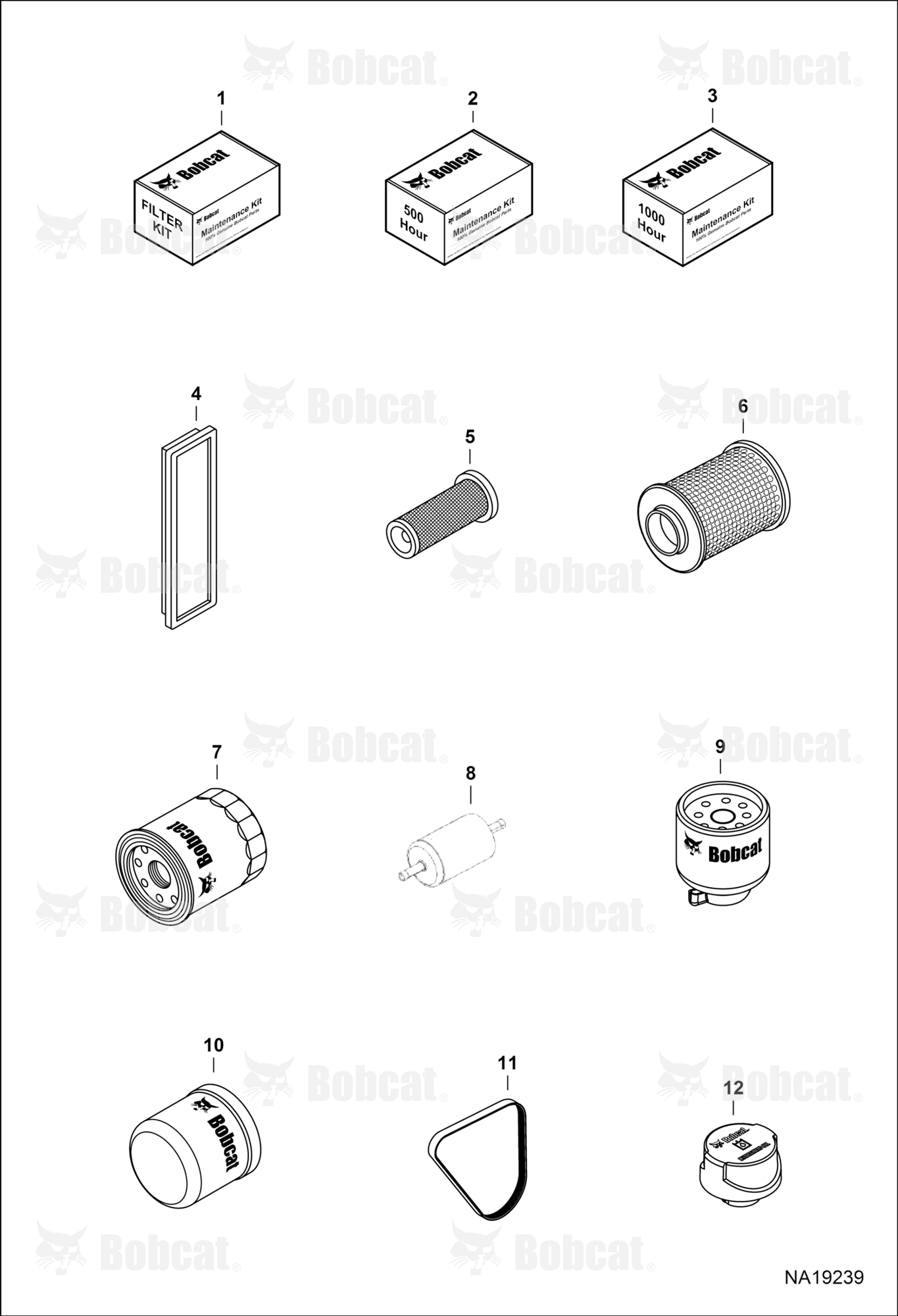 Maintenance Items (Scheduled Maintenance)