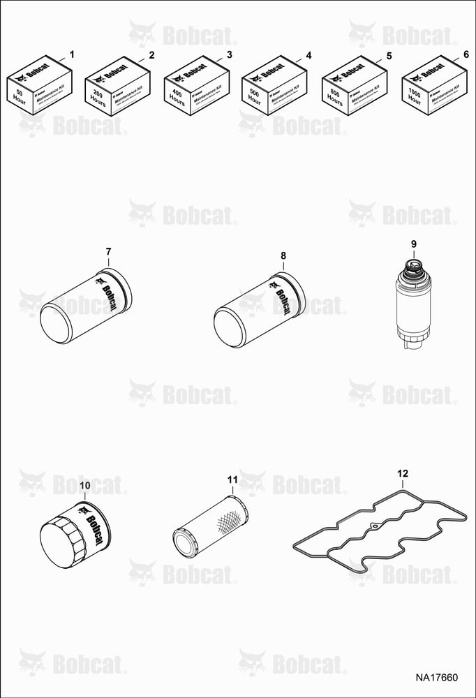 Maintenance Items (Scheduled Maintenance)