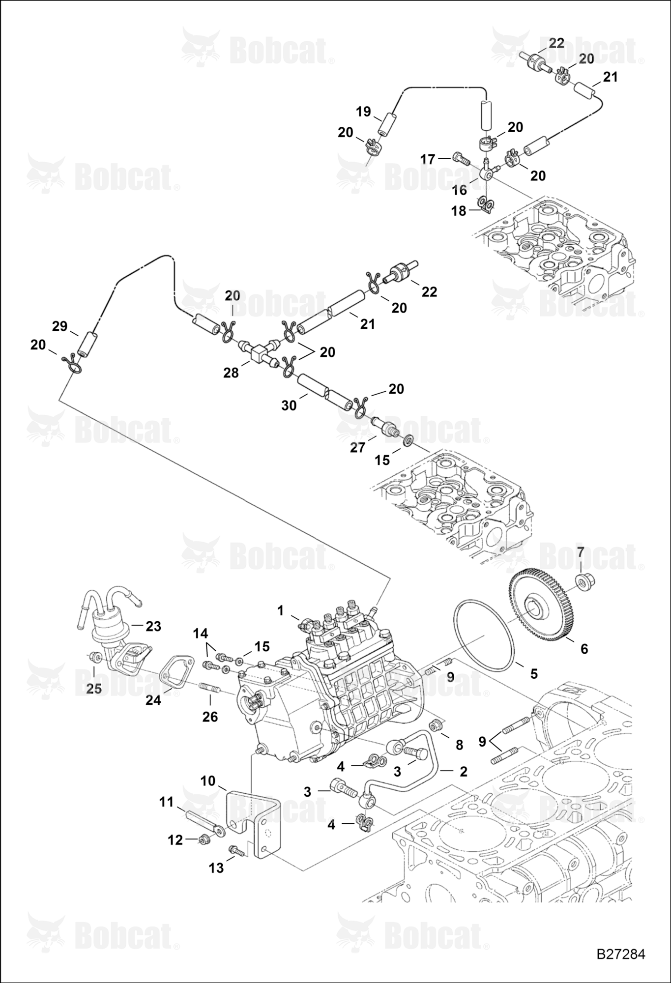 Fuel & Injection Pump